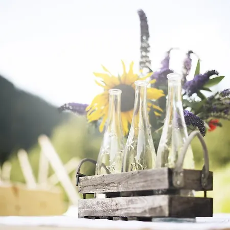 Zum Stubaier Gletscher Apartmán Neustift im Stubaital
