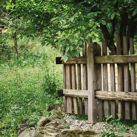 Appartement Zum Stubaier Gletscher - Wald