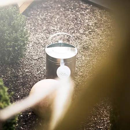 Zum Stubaier Gletscher - Wald *