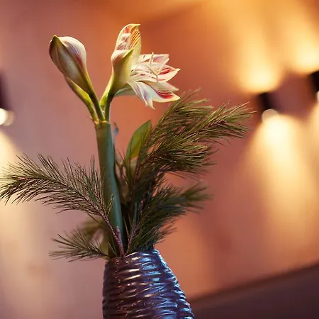 Zum Stubaier Gletscher - Wald Neustift im Stubaital